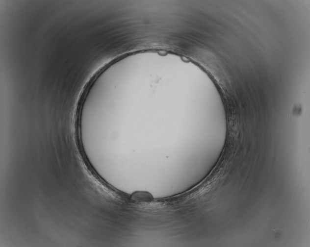 X0000093761135200711061105