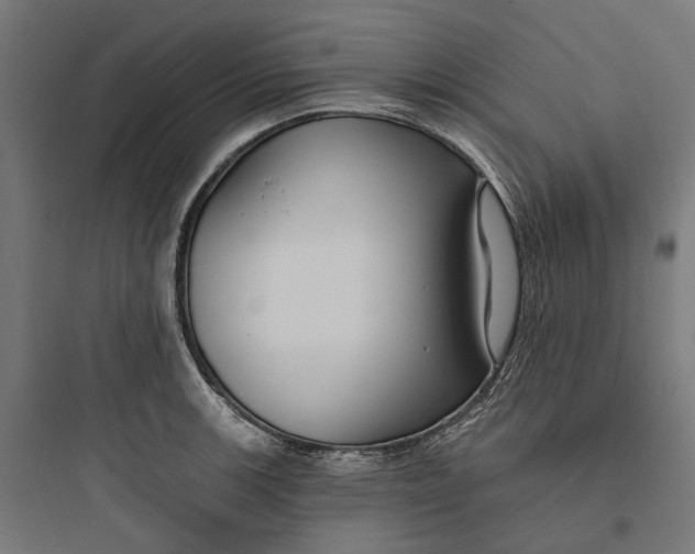 X0000093761139200711061105