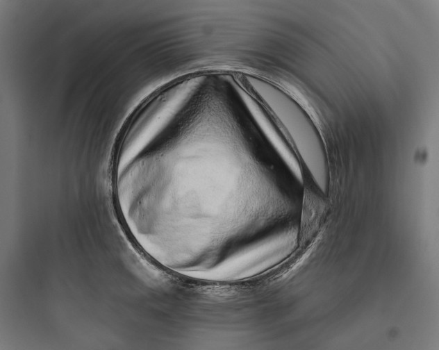 X0000093761141200711061105