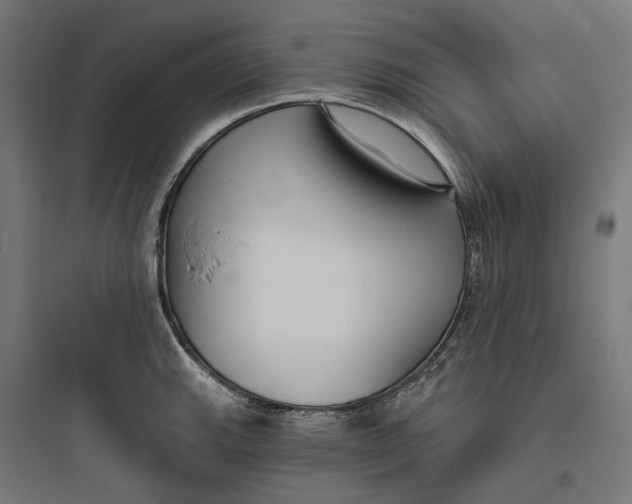 X0000093761143200711061105