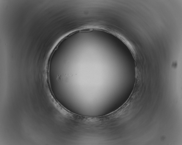 X0000093761148200711061105