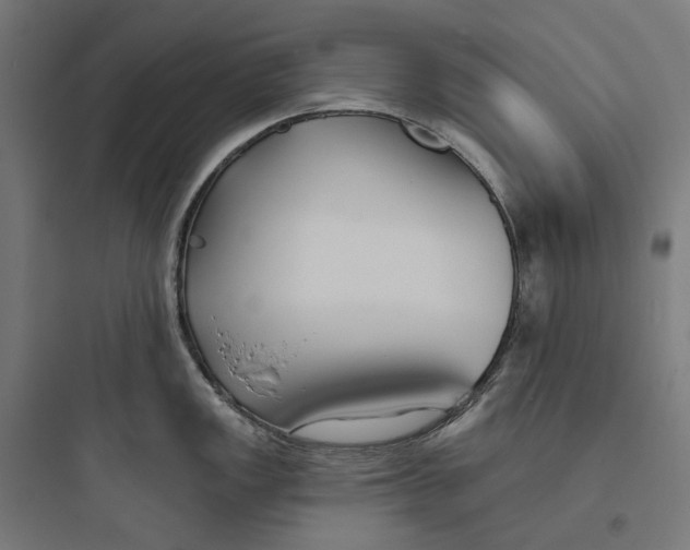 X0000093761149200711061105