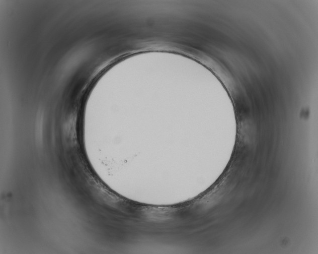 X0000093761150200711061105