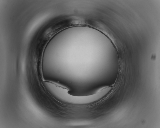 X0000093761151200711061105