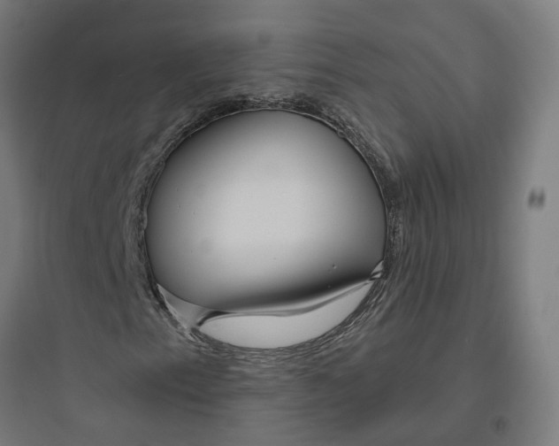 X0000093761153200711061104