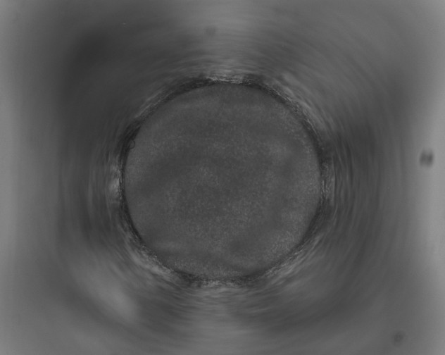 X0000093761154200711061104