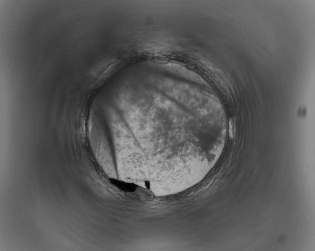 X0000093761155200711061104