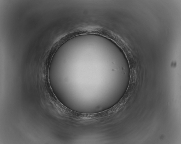 X0000093761158200711061104