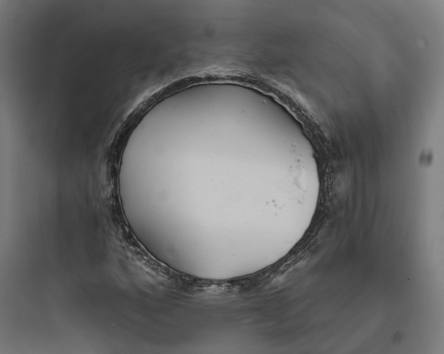 X0000093761160200711061104