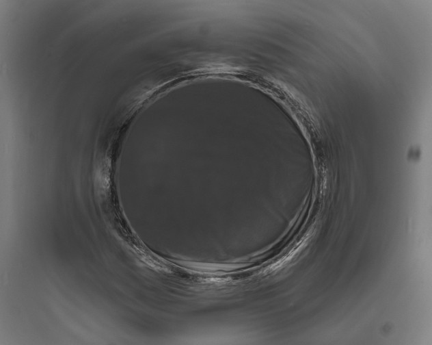 X0000093761161200711061104