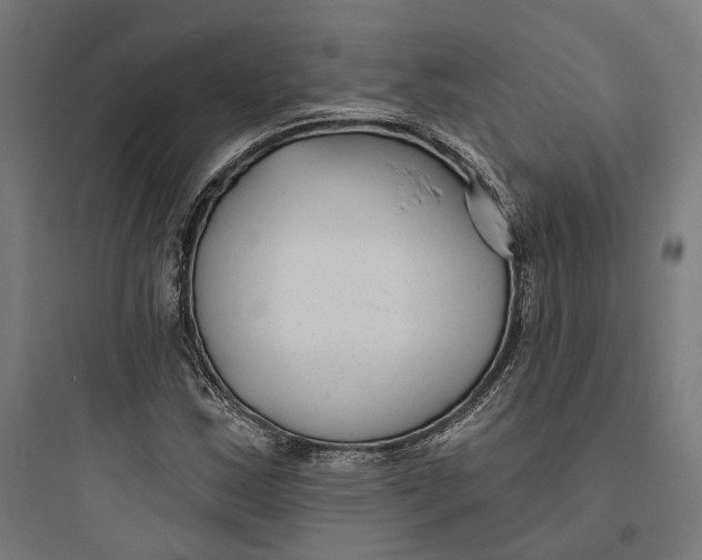 X0000093761163200711061104