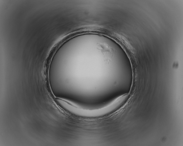 X0000093761164200711061104