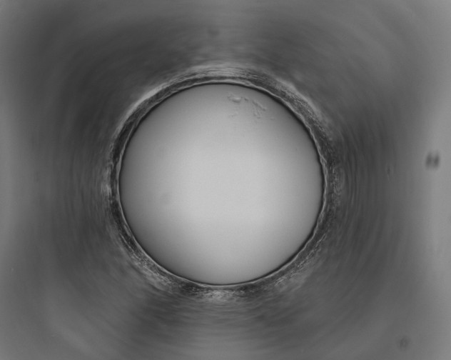 X0000093761166200711061104