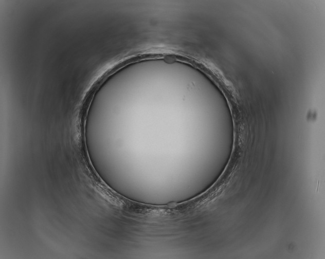 X0000093761167200711061104