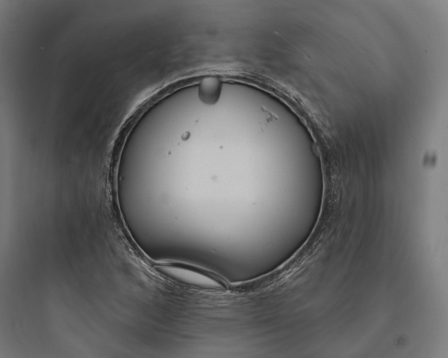 X0000093761168200711061104