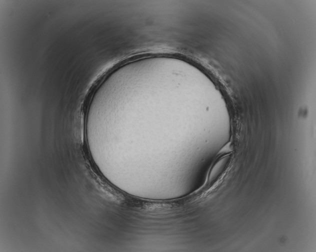 X0000093761171200711061104