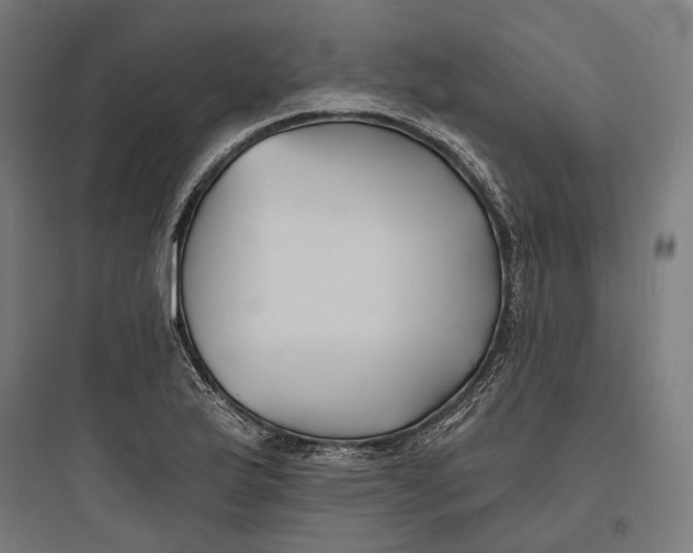 X0000093761175200711061104