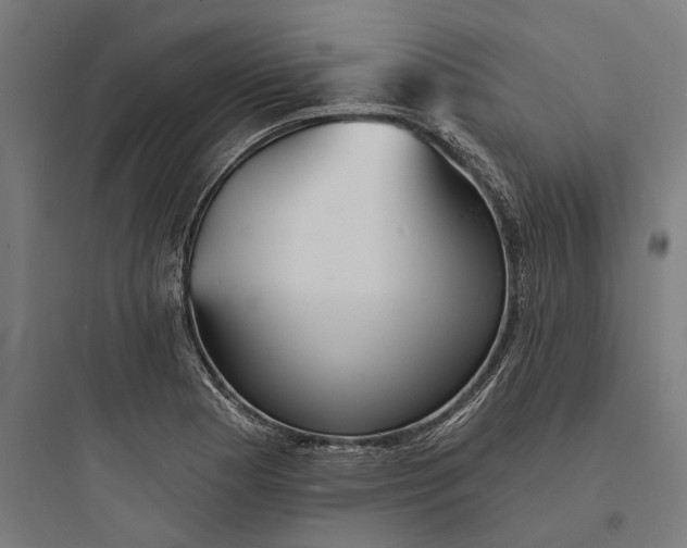 X0000093761177200711061104