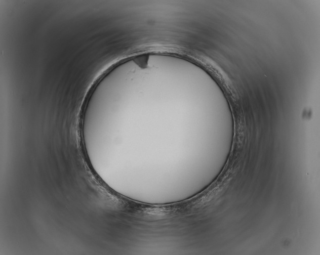 X0000093761182200711061104