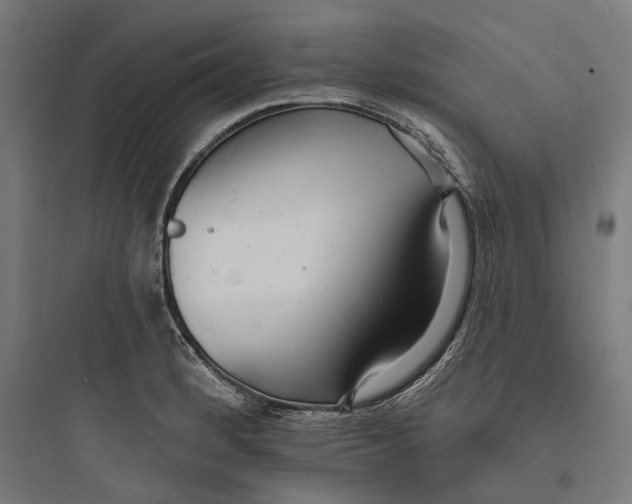 X0000093761184200711061104