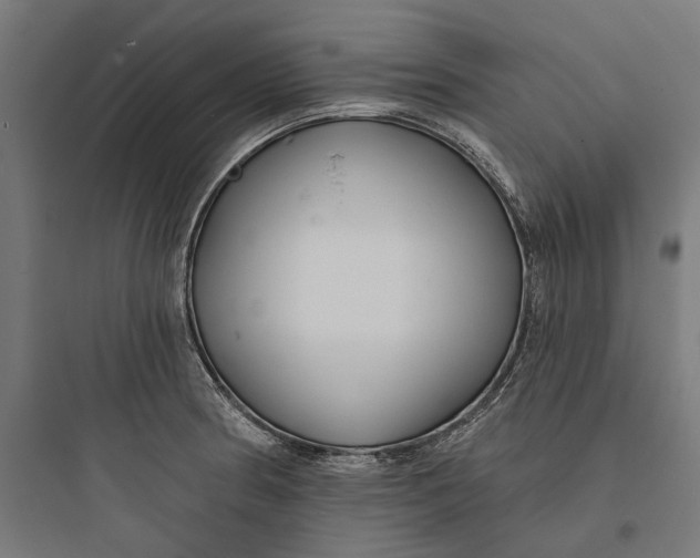 X0000093761186200711061104