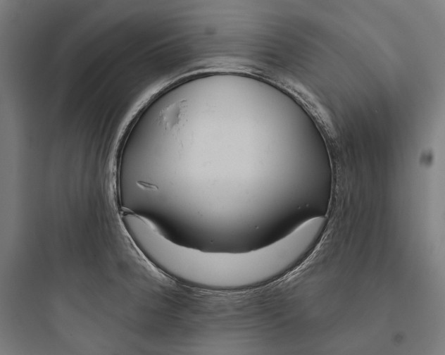 X0000093761188200711061103