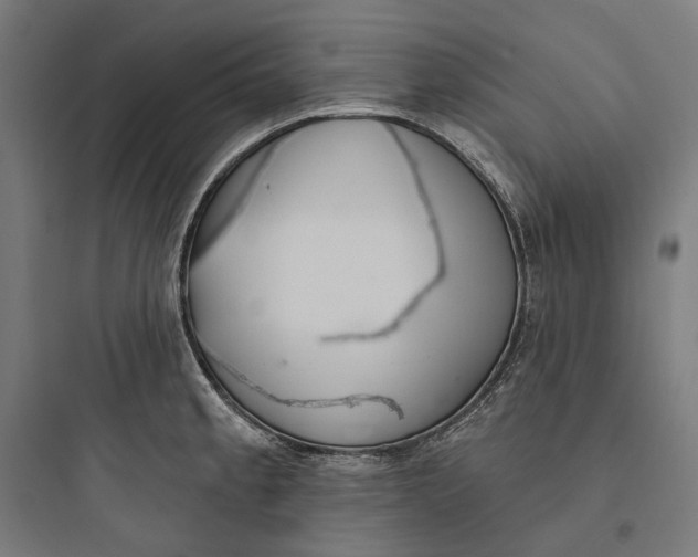 X0000093761189200711061103