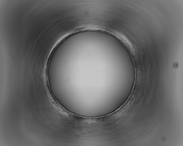 X0000093761190200711061103