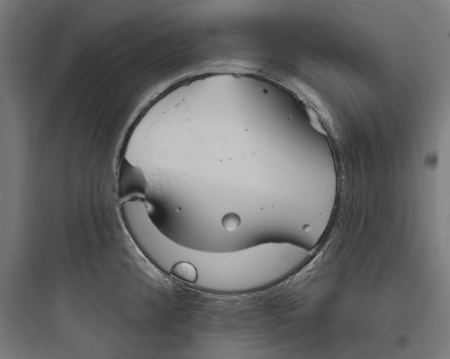 X0000093761192200711061103