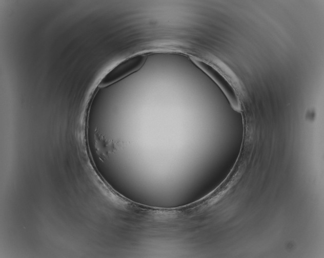 X0000093761196200711061103