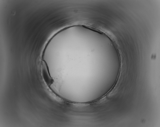 X0000093761200200711061103