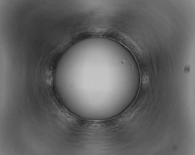 X0000093761204200711061103