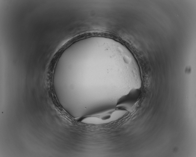 X0000093761208200711061103