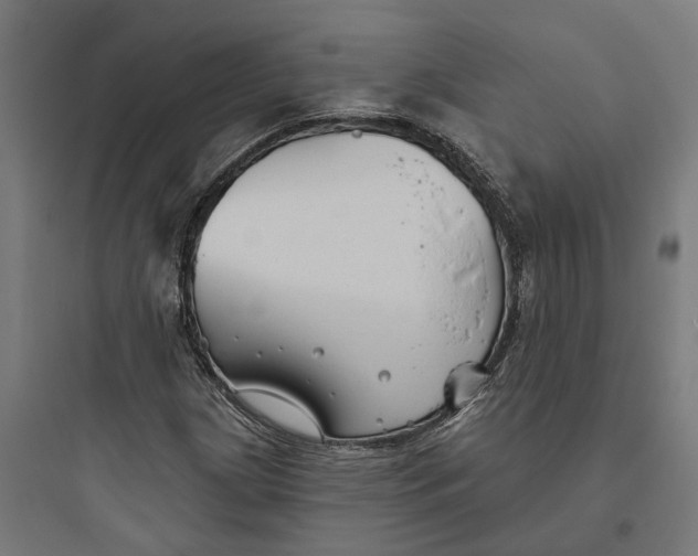 X0000093761209200711061103