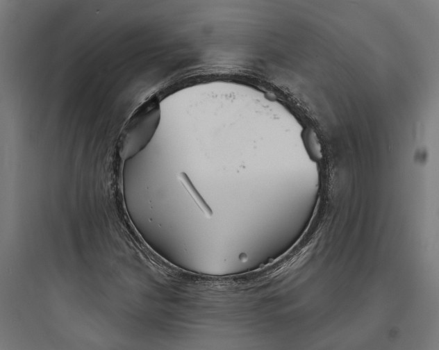 X0000093761210200711061103