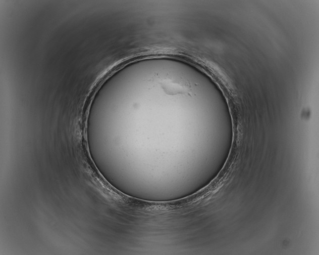 X0000093761212200711061103