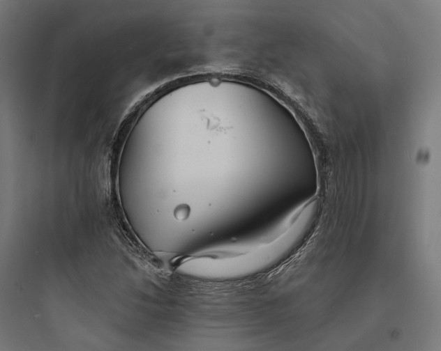 X0000093761214200711061103