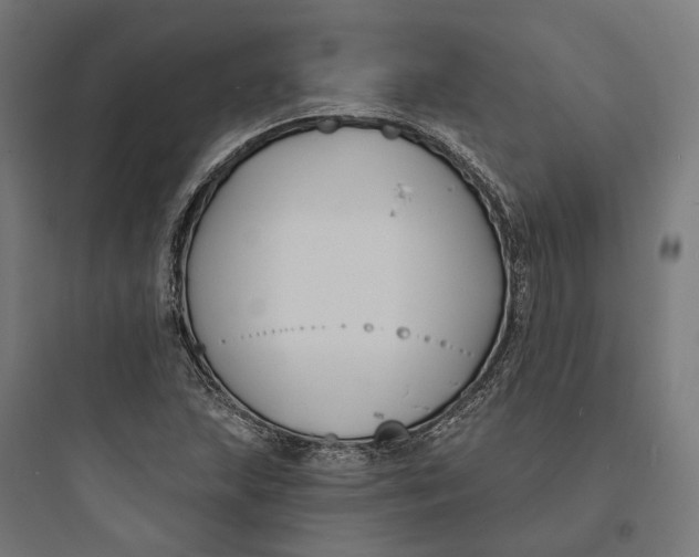 X0000093761215200711061103