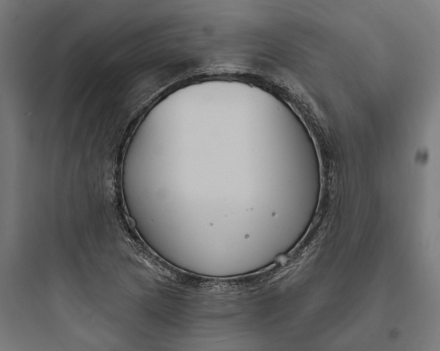 X0000093761217200711061103