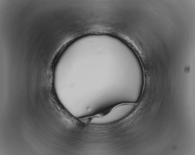 X0000093761219200711061103