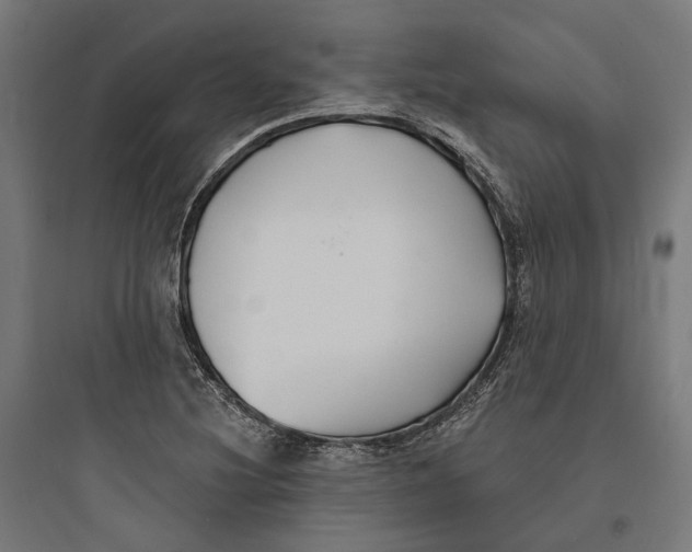 X0000093761220200711061103