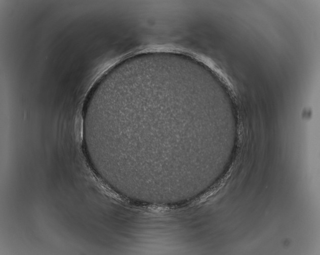 X0000093761221200711061103