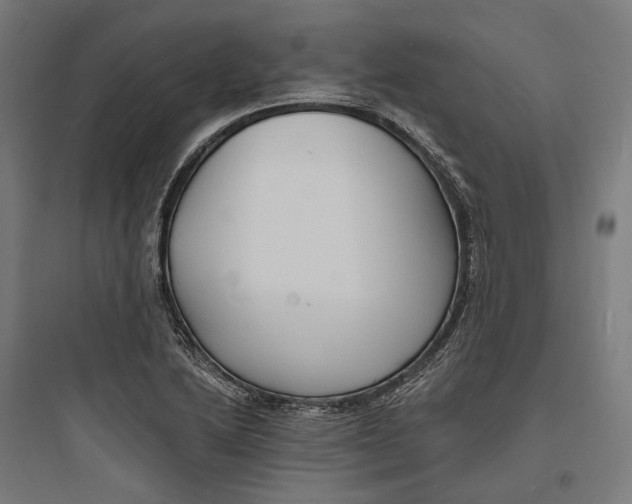 X0000093761222200711061103