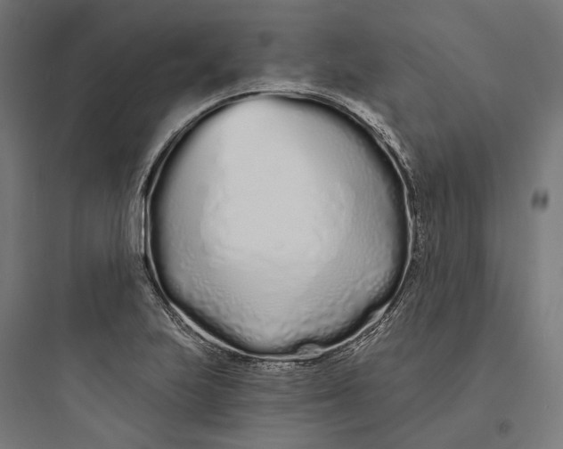 X0000093761223200711061103