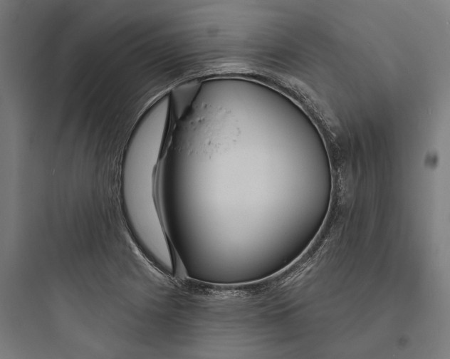 X0000093761225200711061103