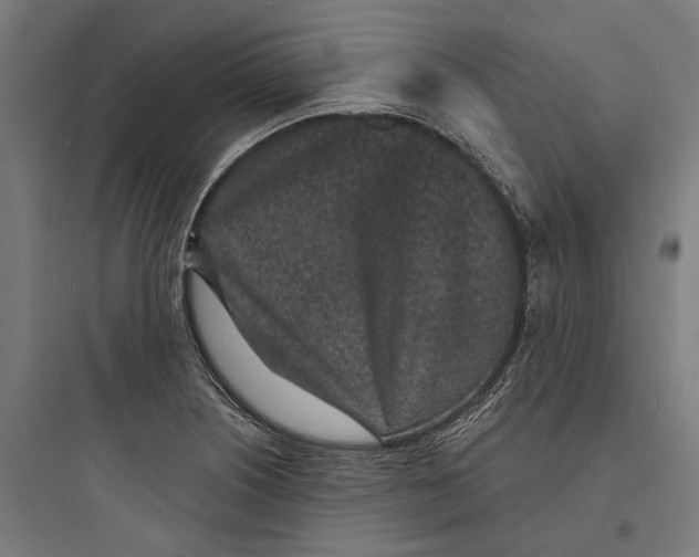 X0000093761226200711061103