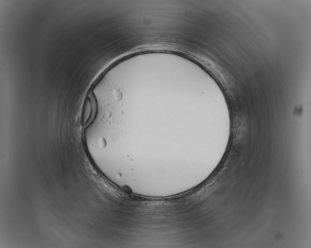 X0000093761228200711061103