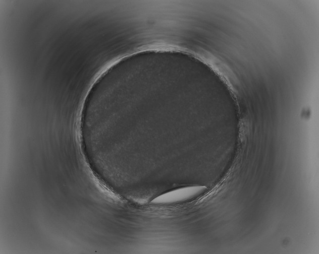 X0000093761229200711061103