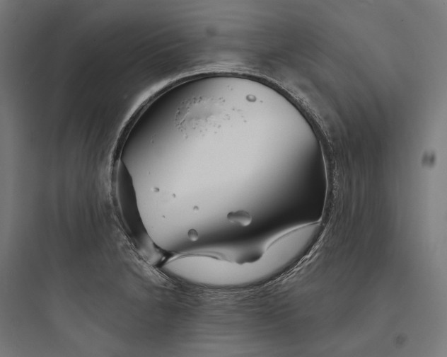 X0000093761230200711061103