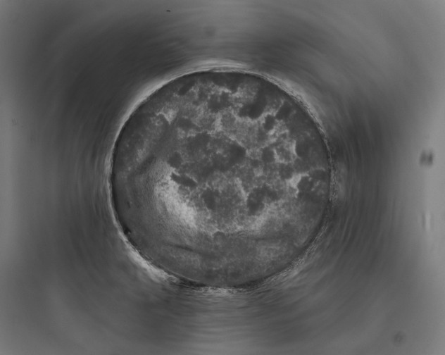 X0000093761231200711061103